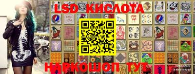 сатива Кандалакша